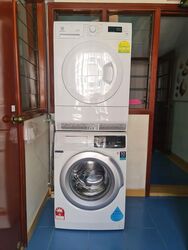 Evergreen Park (D19), Apartment #464234671